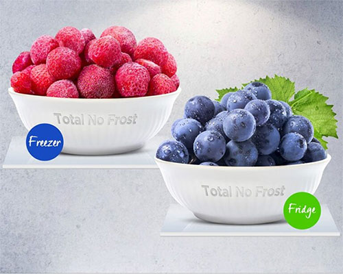 Total No Frost