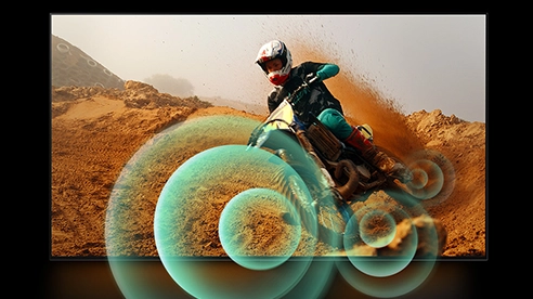 p10.webp