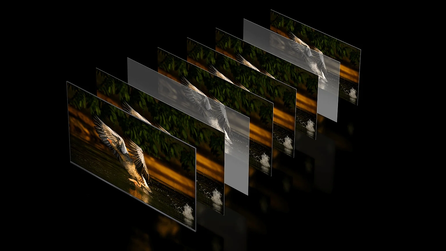 MEMC. Πιο καθαρές, πιο ομαλές εικόνες