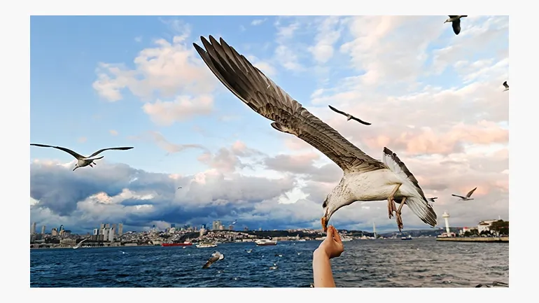 AI Motion Sensing Capture. Πιο οξεία εστίαση, ζωντανές λεπτομέρειες