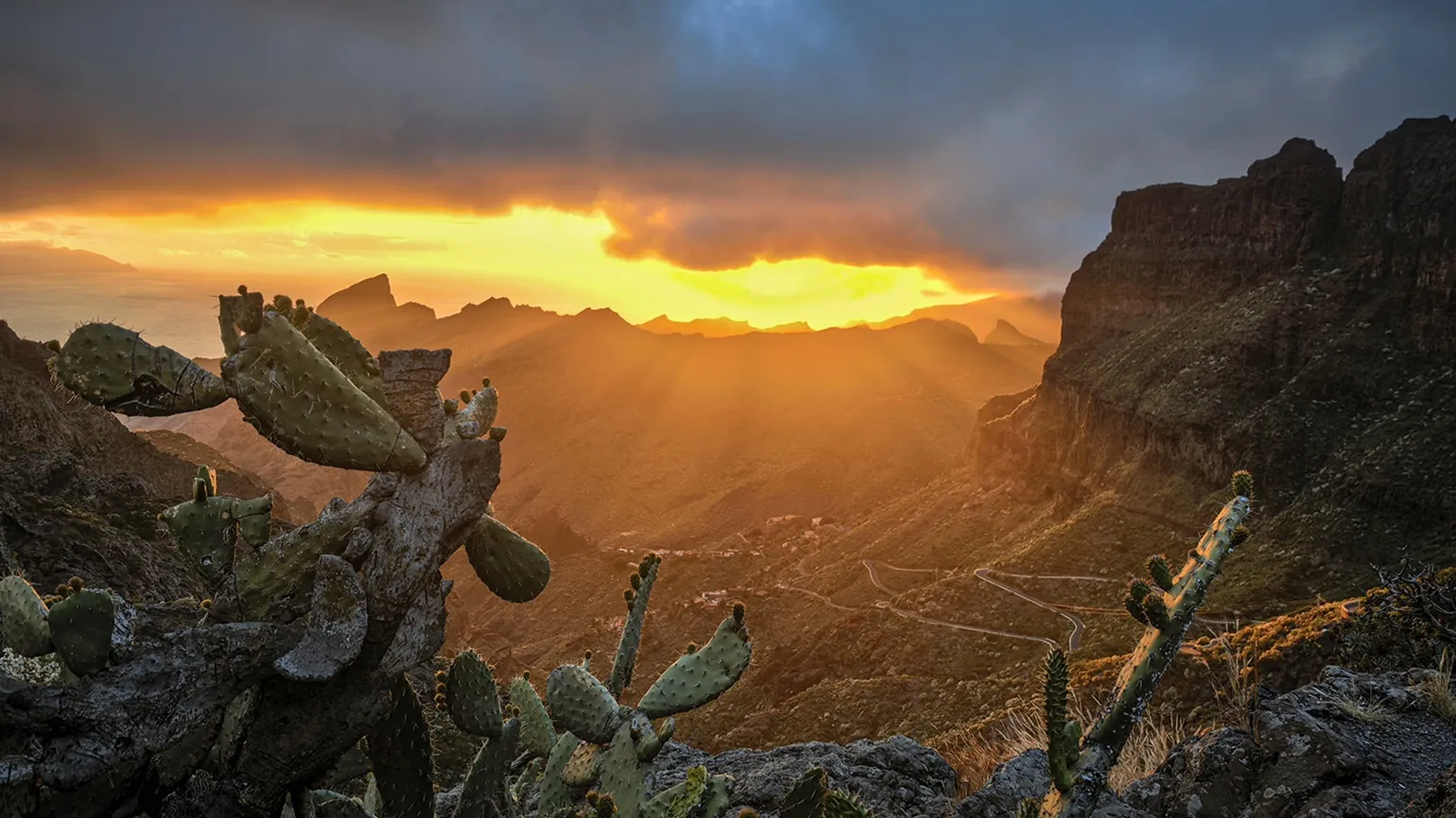 Το φως του ήλιου πέφτει, το θέαμα ανατέλλει
