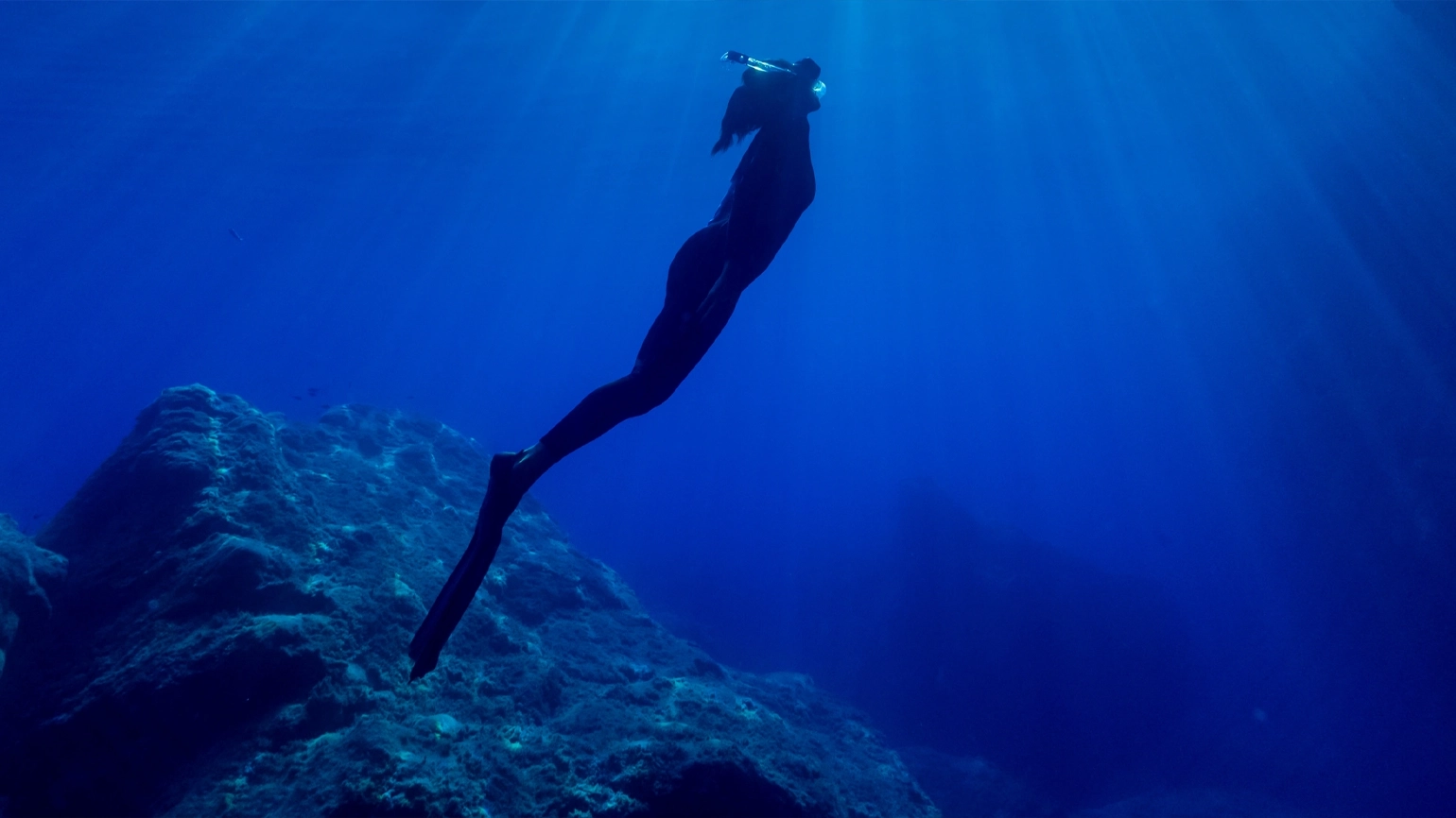 Dive Deep, Dream Big