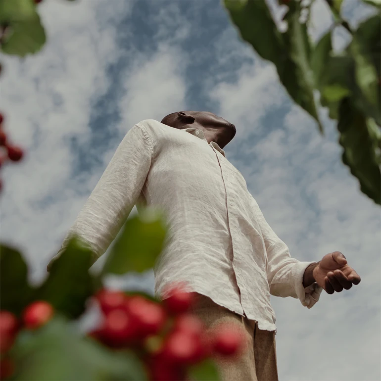 Επενδύοντας σε καλλιέργεια υψηλής ποιότητας