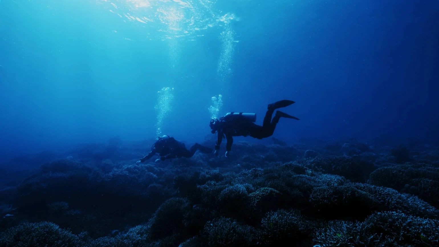 Μετά την Κατάδυση